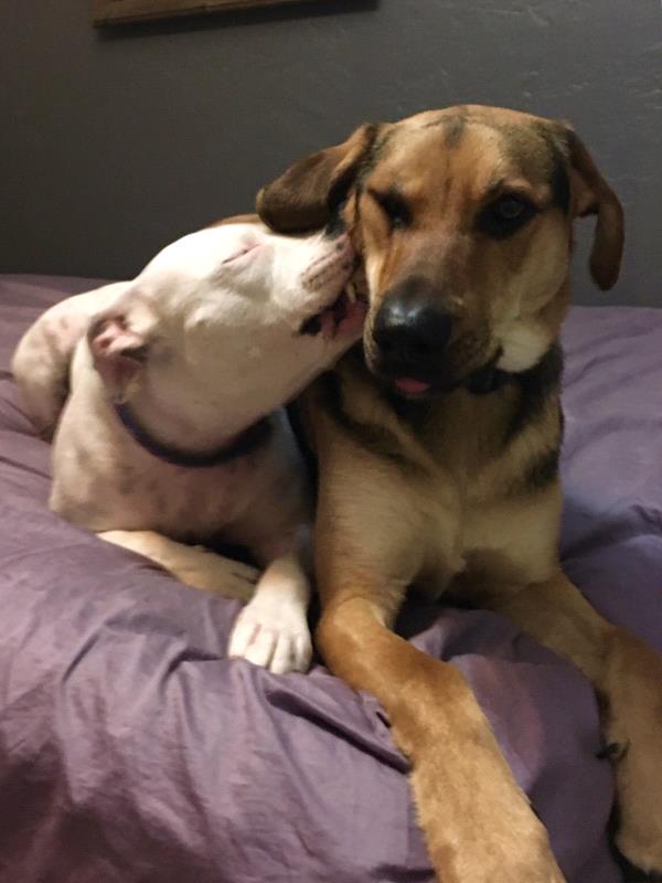 /Images/uploads/Humane Society of Utah/HSUCalendar/entries/544thumb.jpg